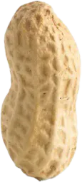 :Cacahuete: