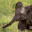Photo de profil de rth