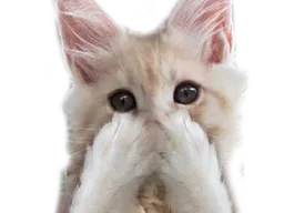 :chat_hihi: