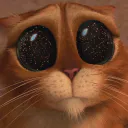 :Chat_botte_shrek: