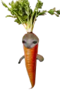 :Charotte: