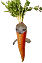 :Charotte: