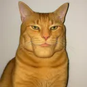 Testicular