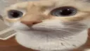 :uuh: