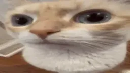 :uuh: