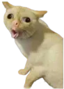 :Chat_vomit: