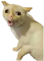 :Chat_vomit:
