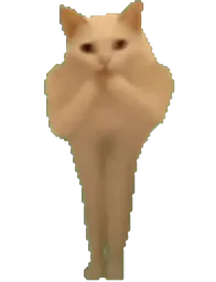 :Chat_bouge_ton_corps: