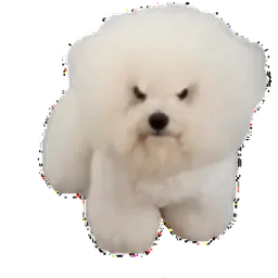 :Chien-vnr:
