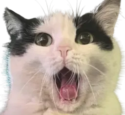 :AAAAAAAAAHHHHHH: