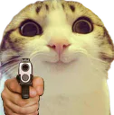 :chat_sourire_flingue: