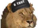 :lionsans: