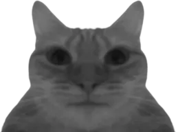 :chatgris: