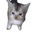 :oupigoupi: