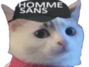 :cestinsans: