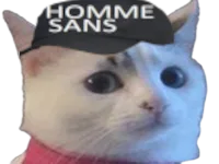 :cestinsans: