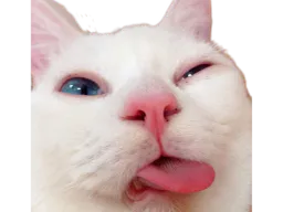 :Chat_beurk_: