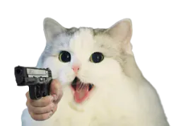 :Cattogun: