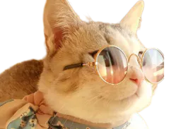 :Team_Chat_Cleyette_2: