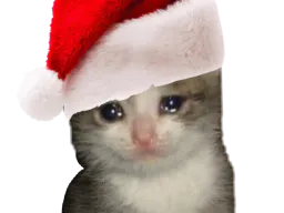 :chaton_noel_pleure: