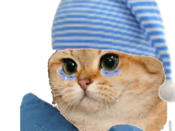:Chat_Dodo: