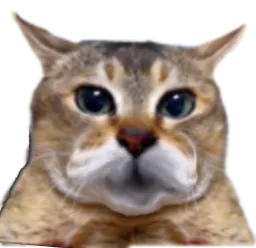 :chat_rougitGrognon: