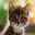 Photo de profil de Minet2op