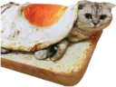 :chatoast: