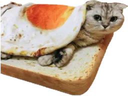 :chatoast: