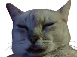 :Ramaxzoom: