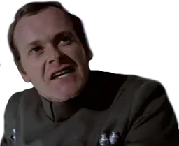 :motti: