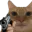 Photo de profil de Noname21