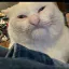 Photo de profil de SoniaMabrouk