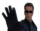 :stop_terminator: