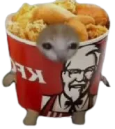 :ChaFC3: