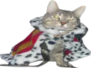 :CS_Roi: