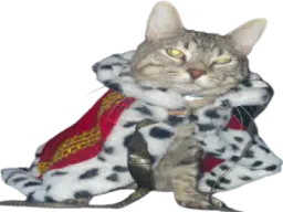 :CS_Roi: