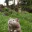 Photo de profil de Pomplamoose
