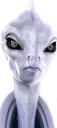 :lamasu: