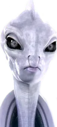 :lamasu: