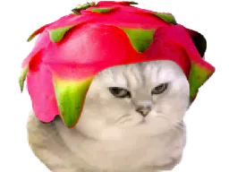 :chatbrushingpitaya: