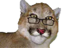 :tigrent: