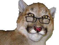 :tigrent:
