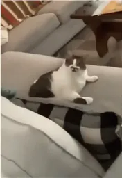:Slurpchat:
