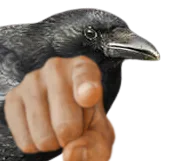 :corbeaupoint: