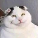 Jadoremonbedo