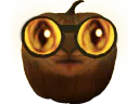 :citrouille_chat2: