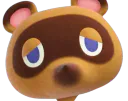:nook_zoom:
