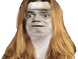 :Chien_Bourdon_Cheveux_long:
