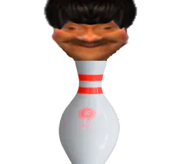 :quille: